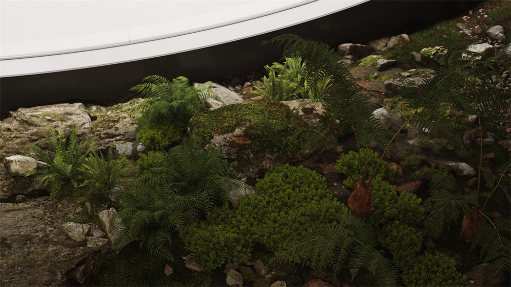 观赏草、观花草本、其他草本