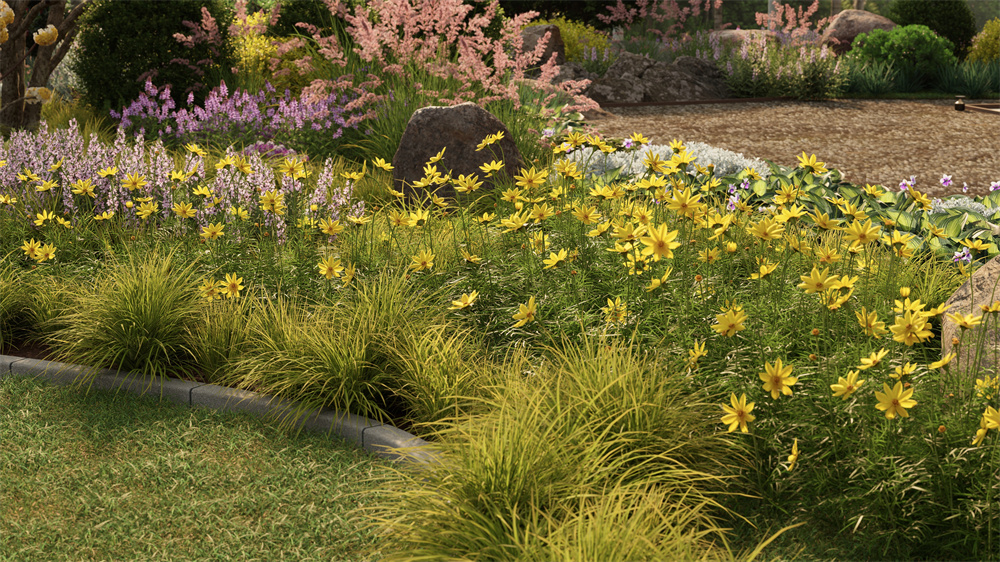 观赏草、观花草本、其他草本