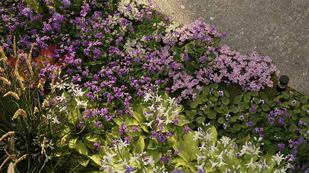 观赏草、观花草本、其他草本