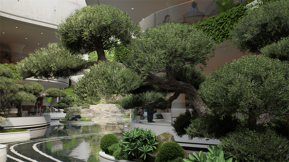 阔叶树、观花树、针叶树、棕榈