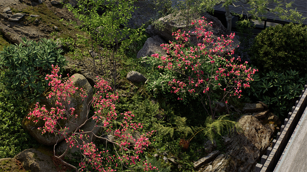 阔叶树、观花树、针叶树、棕榈