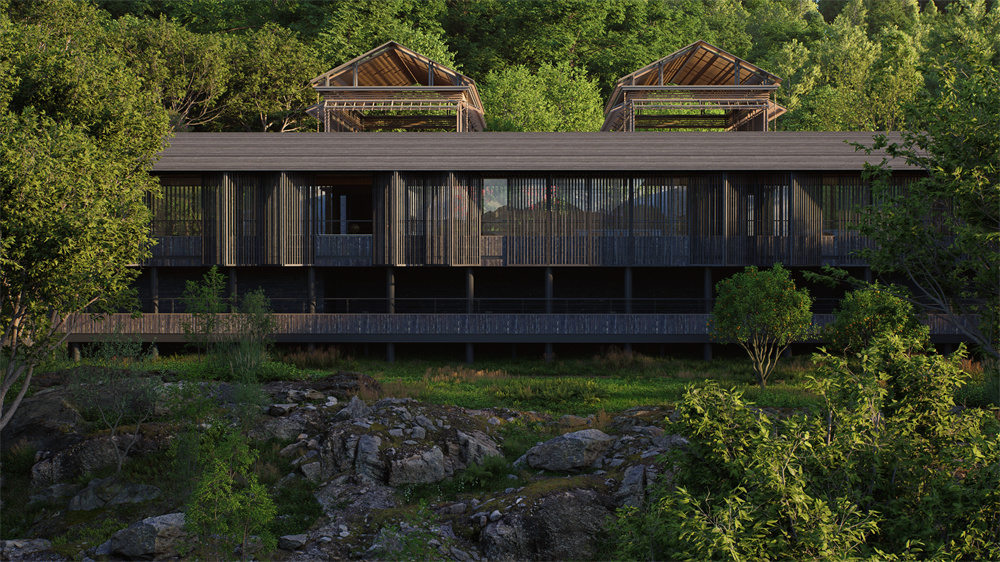 阔叶树、观花树、针叶树、棕榈